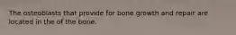 The osteoblasts that provide for bone growth and repair are located in the of the bone.