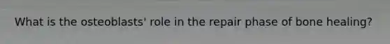 What is the osteoblasts' role in the repair phase of bone healing?