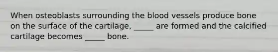When osteoblasts surrounding the blood vessels produce bone on the surface of the cartilage, _____ are formed and the calcified cartilage becomes _____ bone.