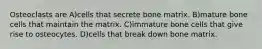 Osteoclasts are A)cells that secrete bone matrix. B)mature bone cells that maintain the matrix. C)immature bone cells that give rise to osteocytes. D)cells that break down bone matrix.