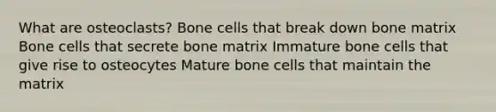 What are osteoclasts? Bone cells that break down bone matrix Bone cells that secrete bone matrix Immature bone cells that give rise to osteocytes Mature bone cells that maintain the matrix