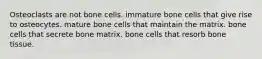 Osteoclasts are not bone cells. immature bone cells that give rise to osteocytes. mature bone cells that maintain the matrix. bone cells that secrete bone matrix. bone cells that resorb bone tissue.