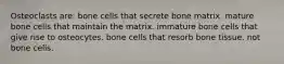 Osteoclasts are: bone cells that secrete bone matrix. mature bone cells that maintain the matrix. immature bone cells that give rise to osteocytes. bone cells that resorb bone tissue. not bone cells.