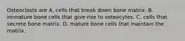 Osteoclasts are A. cells that break down bone matrix. B. immature bone cells that give rise to osteocytes. C. cells that secrete bone matrix. D. mature bone cells that maintain the matrix.