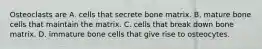 Osteoclasts are A. cells that secrete bone matrix. B. mature bone cells that maintain the matrix. C. cells that break down bone matrix. D. immature bone cells that give rise to osteocytes.