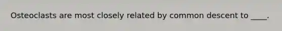 Osteoclasts are most closely related by common descent to ____.