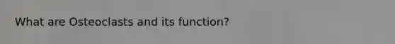 What are Osteoclasts and its function?