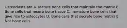 Osteoclasts are A. Mature bone cells that maintain the matrix B. Bone cells that resorb bone tissue C. Immature bone cells that give rise to osteocytes D. Bone cells that secrete bone matrix E. Not bone cells