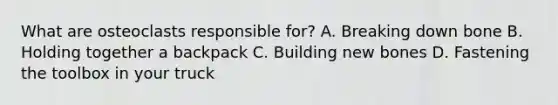 What are osteoclasts responsible for? A. Breaking down bone B. Holding together a backpack C. Building new bones D. Fastening the toolbox in your truck