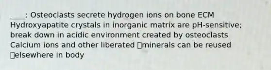 ____: Osteoclasts secrete hydrogen ions on bone ECM Hydroxyapatite crystals in inorganic matrix are pH-sensitive; break down in acidic environment created by osteoclasts Calcium ions and other liberated minerals can be reused elsewhere in body