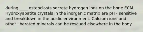 during ____ osteoclasts secrete hydrogen ions on the bone ECM. Hydroxyapatite crystals in the inorganic matrix are pH - sensitive and breakdown in the acidic environment. Calcium ions and other liberated minerals can be rescued elsewhere in the body