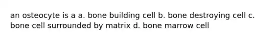 an osteocyte is a a. bone building cell b. bone destroying cell c. bone cell surrounded by matrix d. bone marrow cell