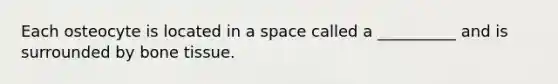 Each osteocyte is located in a space called a __________ and is surrounded by bone tissue.