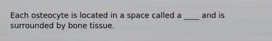 Each osteocyte is located in a space called a ____ and is surrounded by bone tissue.