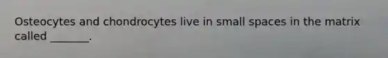 Osteocytes and chondrocytes live in small spaces in the matrix called _______.