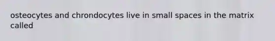 osteocytes and chrondocytes live in small spaces in the matrix called