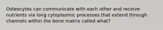 Osteocytes can communicate with each other and receive nutrients via long cytoplasmic processes that extend through channels within the bone matrix called what?