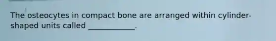 The osteocytes in compact bone are arranged within cylinder-shaped units called ____________.