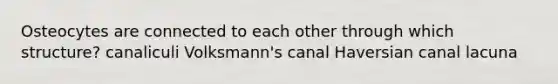 Osteocytes are connected to each other through which structure? canaliculi Volksmann's canal Haversian canal lacuna