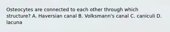 Osteocytes are connected to each other through which structure? A. Haversian canal B. Volksmann's canal C. caniculi D. lacuna