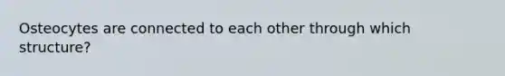 Osteocytes are connected to each other through which structure?