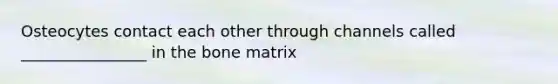 Osteocytes contact each other through channels called ________________ in the bone matrix
