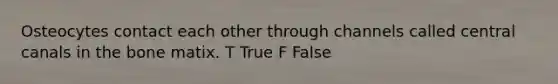 Osteocytes contact each other through channels called central canals in the bone matix. T True F False