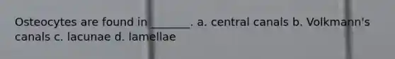 Osteocytes are found in _______. a. central canals b. Volkmann's canals c. lacunae d. lamellae