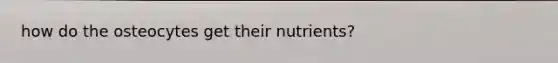 how do the osteocytes get their nutrients?