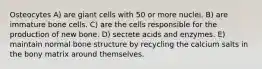 Osteocytes A) are giant cells with 50 or more nuclei. B) are immature bone cells. C) are the cells responsible for the production of new bone. D) secrete acids and enzymes. E) maintain normal bone structure by recycling the calcium salts in the bony matrix around themselves.