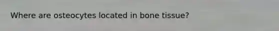 Where are osteocytes located in bone tissue?