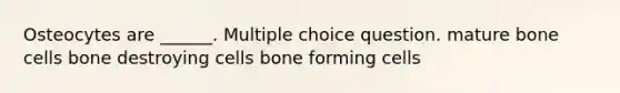 Osteocytes are ______. Multiple choice question. mature bone cells bone destroying cells bone forming cells