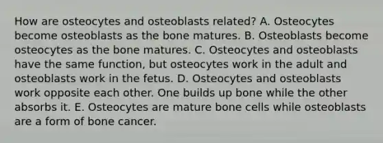 How are osteocytes and osteoblasts related? A. Osteocytes become osteoblasts as the bone matures. B. Osteoblasts become osteocytes as the bone matures. C. Osteocytes and osteoblasts have the same function, but osteocytes work in the adult and osteoblasts work in the fetus. D. Osteocytes and osteoblasts work opposite each other. One builds up bone while the other absorbs it. E. Osteocytes are mature bone cells while osteoblasts are a form of bone cancer.