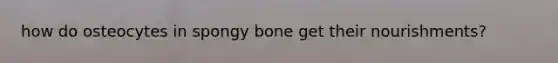 how do osteocytes in spongy bone get their nourishments?