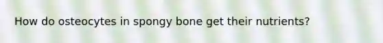 How do osteocytes in spongy bone get their nutrients?