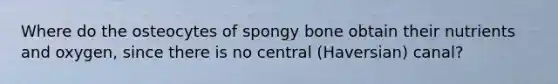 Where do the osteocytes of spongy bone obtain their nutrients and oxygen, since there is no central (Haversian) canal?