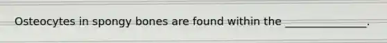 Osteocytes in spongy bones are found within the _______________.