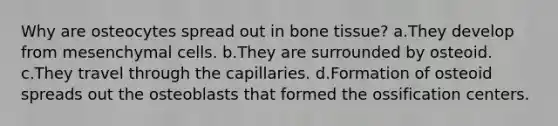 Why are osteocytes spread out in bone tissue? a.They develop from mesenchymal cells. b.They are surrounded by osteoid. c.They travel through the capillaries. d.Formation of osteoid spreads out the osteoblasts that formed the ossification centers.