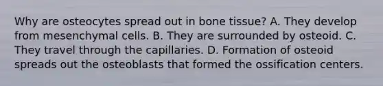 Why are osteocytes spread out in bone tissue? A. They develop from mesenchymal cells. B. They are surrounded by osteoid. C. They travel through the capillaries. D. Formation of osteoid spreads out the osteoblasts that formed the ossification centers.