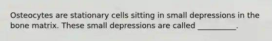 Osteocytes are stationary cells sitting in small depressions in the bone matrix. These small depressions are called __________.