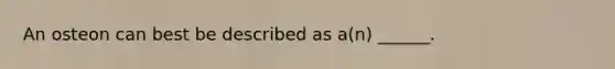 An osteon can best be described as a(n) ______.