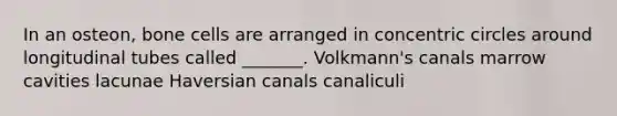 In an osteon, bone cells are arranged in concentric circles around longitudinal tubes called _______. Volkmann's canals marrow cavities lacunae Haversian canals canaliculi