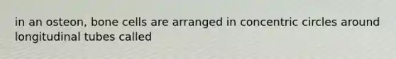 in an osteon, bone cells are arranged in concentric circles around longitudinal tubes called