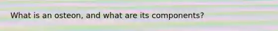 What is an osteon, and what are its components?