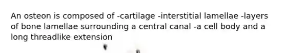 An osteon is composed of -cartilage -interstitial lamellae -layers of bone lamellae surrounding a central canal -a cell body and a long threadlike extension