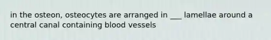 in the osteon, osteocytes are arranged in ___ lamellae around a central canal containing <a href='https://www.questionai.com/knowledge/kZJ3mNKN7P-blood-vessels' class='anchor-knowledge'>blood vessels</a>