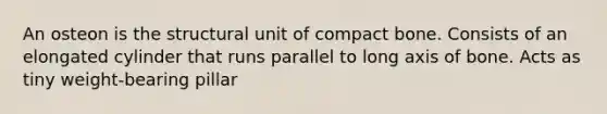 An osteon is the structural unit of compact bone. Consists of an elongated cylinder that runs parallel to long axis of bone. Acts as tiny weight-bearing pillar