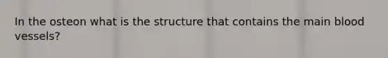 In the osteon what is the structure that contains the main blood vessels?