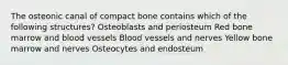 The osteonic canal of compact bone contains which of the following structures? Osteoblasts and periosteum Red bone marrow and blood vessels Blood vessels and nerves Yellow bone marrow and nerves Osteocytes and endosteum