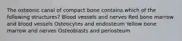 The osteonic canal of compact bone contains which of the following structures? Blood vessels and nerves Red bone marrow and blood vessels Osteocytes and endosteum Yellow bone marrow and nerves Osteoblasts and periosteum